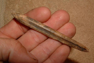 bonepro1.jpg