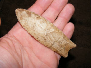 clovis15.JPG