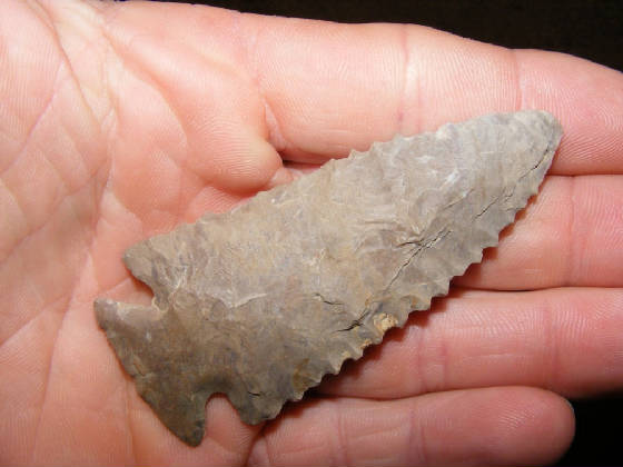 pinet31.JPG
