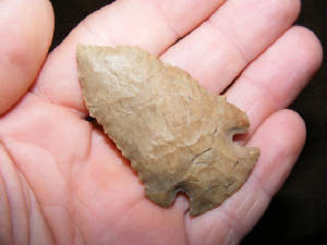 pinet54.JPG